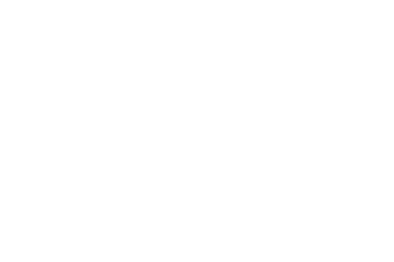 The Ecolodges logo